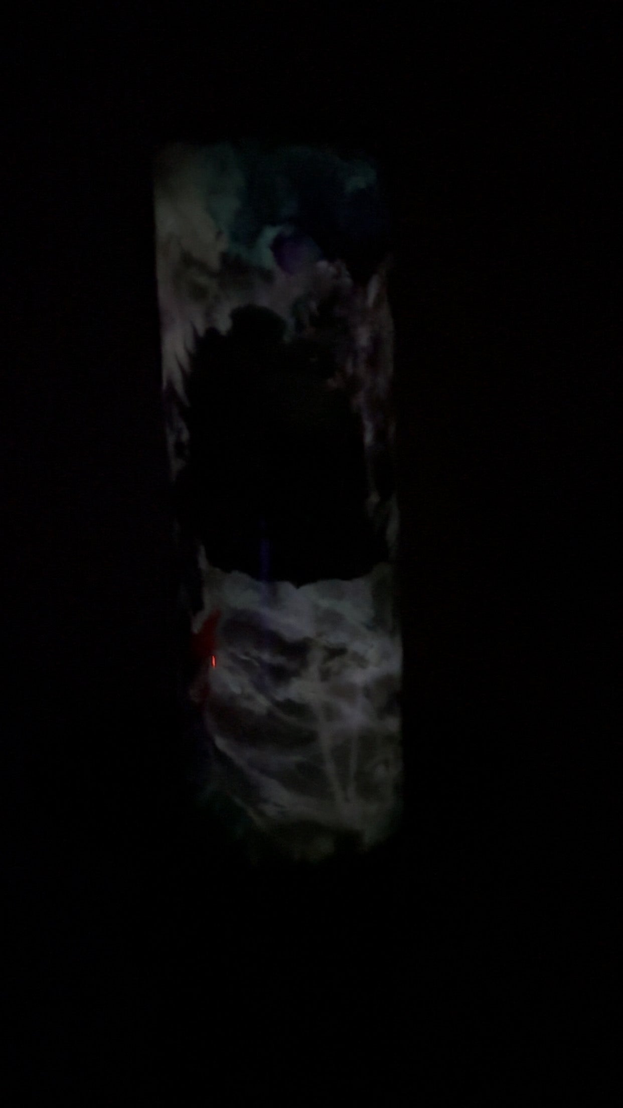 30oz Skull Epoxy Tumbler