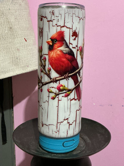 Cardinal Crackle speaker cup
