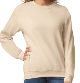 ADULTS Pick your style, size shirt, sweatshirt or hoodie